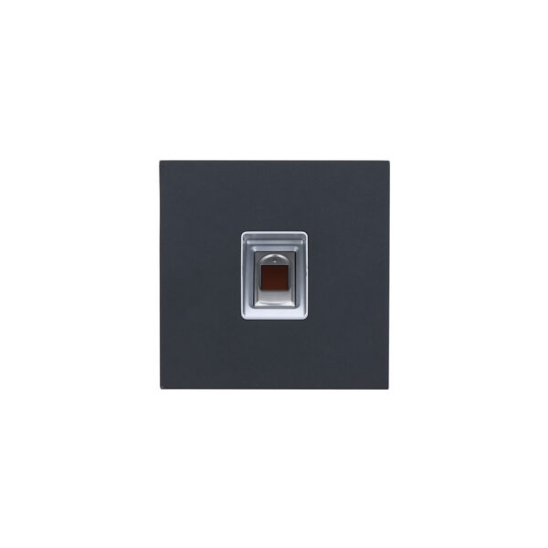 Dahua DHI-VTO4202FB-MF